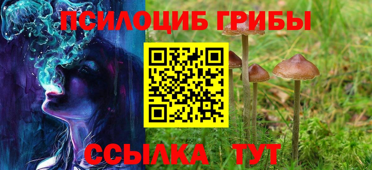 Галлюциногенные грибы Magic Shrooms  Вход с VPN  Рыбинск  Галлюциногенные грибы прущие грибы 