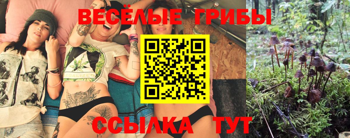 Псилоцибиновые грибы GOLDEN TEACHER Рыбинск